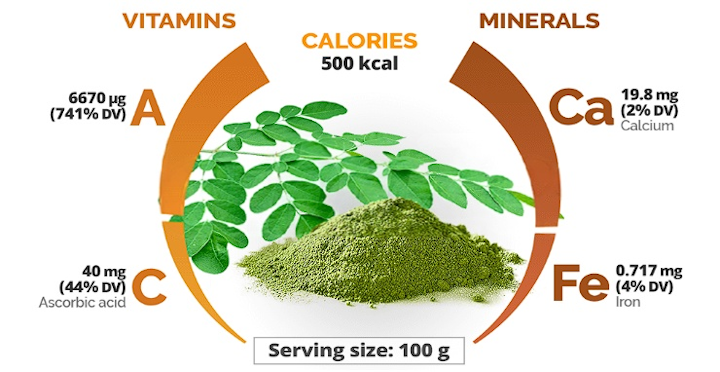 Moringa leaves Infographic